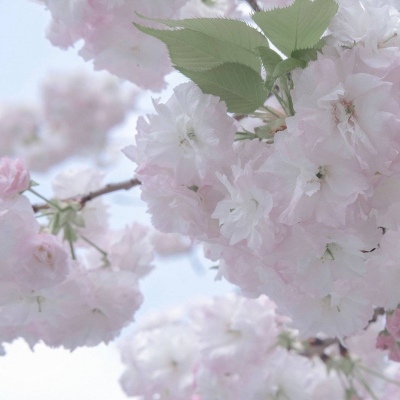 Furry插画风格探索兽圈社群